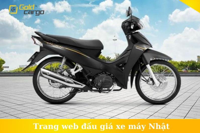 /images/article-image/top-trang-web-dau-gia-xe-may-nhat.jpg