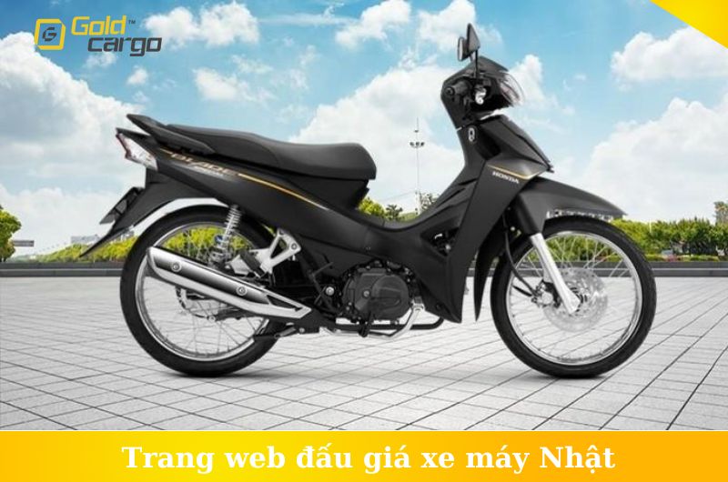 top-trang-web-dau-gia-xe-may-nhat.jpg